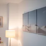 Camifa Canteras Paradise * 라스팔마스