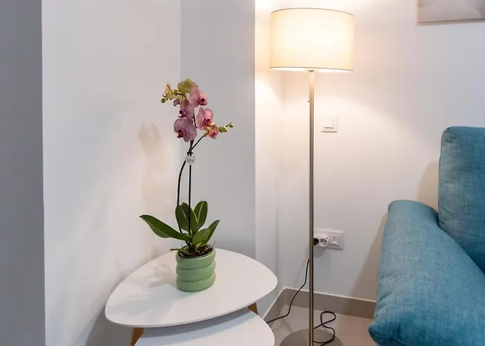 Camifa Canteras Paradise Apartment *